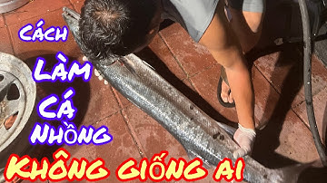 #156: Cách làm cá Nhồng siêu to khổng lồ không giống ai của anh Thành FLORIDA