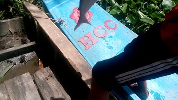 Câu cá tra sông bằng chai nhựa  kết thực đã