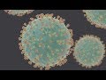 Understanding COVID-19 Misinformation