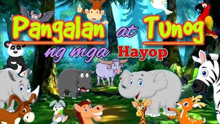 TAGALOG - Pangalan at Tunog ng mga Hayop | Animal Names and Sounds for Kids/Pambata screenshot 2