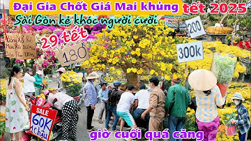 "Kẻ Khóc người cười" Chợ Hoa tết Sài Gòn 2025 khu tên lửa Bình Tân đại gia chốt giá mai khủng