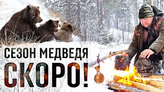 Сезон Медведя на носу. Весенняя подготовка.