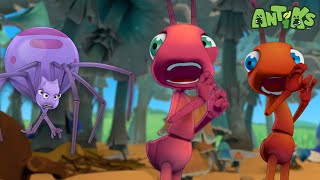 Party Monster | Antiks 🐜 | Funny Cartoons for Kids