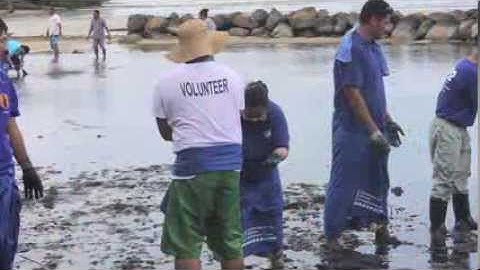 The Power of Voluntary Action (short)