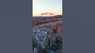 سورة الماعون للاطفال, تعليم القران للاطفال جزء عم, تعليم الاطفال القراءة, ترتيل, قناة داوود, السعودي