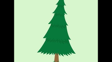 Tree 2d Motion Graphics Animation in After Effect | Binary 01