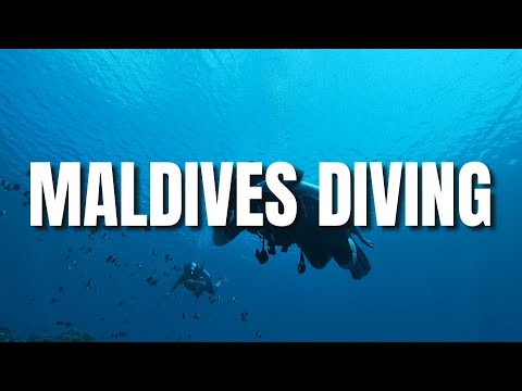 DIVING IN THE MALDIVES (part 2)