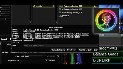 Learning Baselight Look #16: How To Compare Grades With Clients In Baselight Look