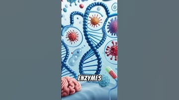 The Surfactant Science of Detergents