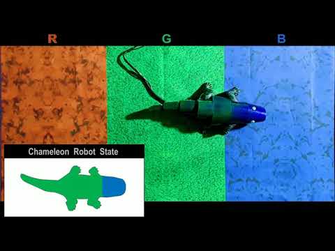 Chameleon robot