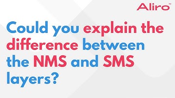 Could you explain the difference between the NMS and SMS layers?