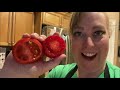 Why you should grow your own Tomatoes if you can. Fresh vs Store bought- the shocking differences!