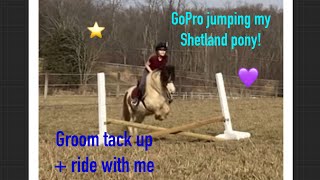 Jumping my Shetland for the 2nd time?! || GoPro ride! | truly Teresa