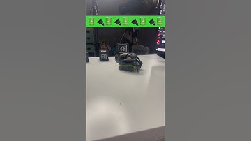 🔋🔌 Charge time for Vector #shorts #robot #vector #pets #work #charger #electricvehicle  #elonmusk