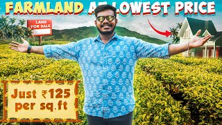 குறைந்த விலையில் சொந்தமா தென்னந்தோப்பு 🌴🔥 - ₹125 Per Sq.ft 😳 Farmland at Lowest price | Abified