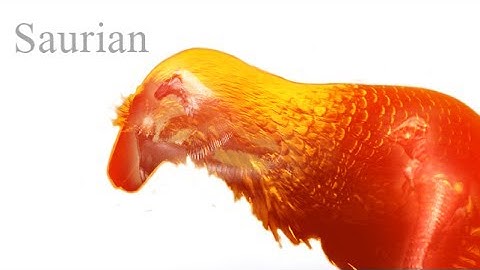 Saurian Pre-Alpha Demo. Raptor Restraint