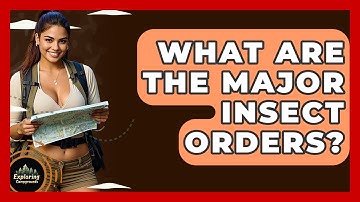 What Are The Major Insect Orders? - Exploring Campgrounds