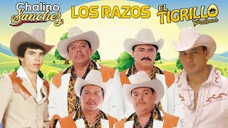 Chalino Sánchez, Los razos, El Tigrillo Palma - Mix Para Pistear - Puros Corridos Mix