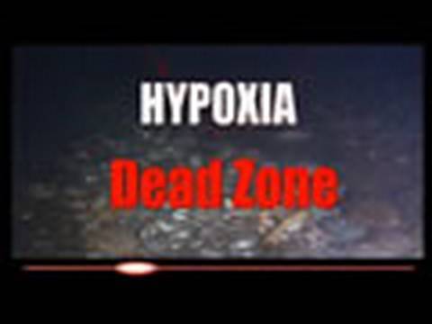 Hypoxia: Dead Zone