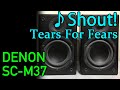 DENON SC-M37でティアーズ・フォー・フィアーズを聞く Tears For Fears - Shout! / 空気録音/ Audio Sound Check