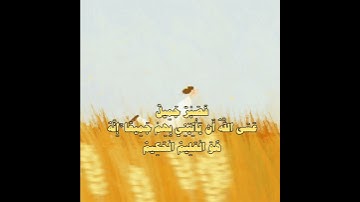 فصبر جميل.. يقين يعقوب وأمل لا ينقطع 💛 سورة يُوسُف ٨٣ #تلاوة