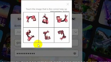 Touch the image that is the correct way up