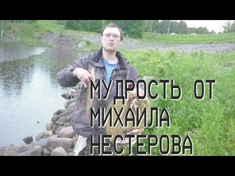 Видео: КАК ОБЫГРАТЬ СИСТЕМУ