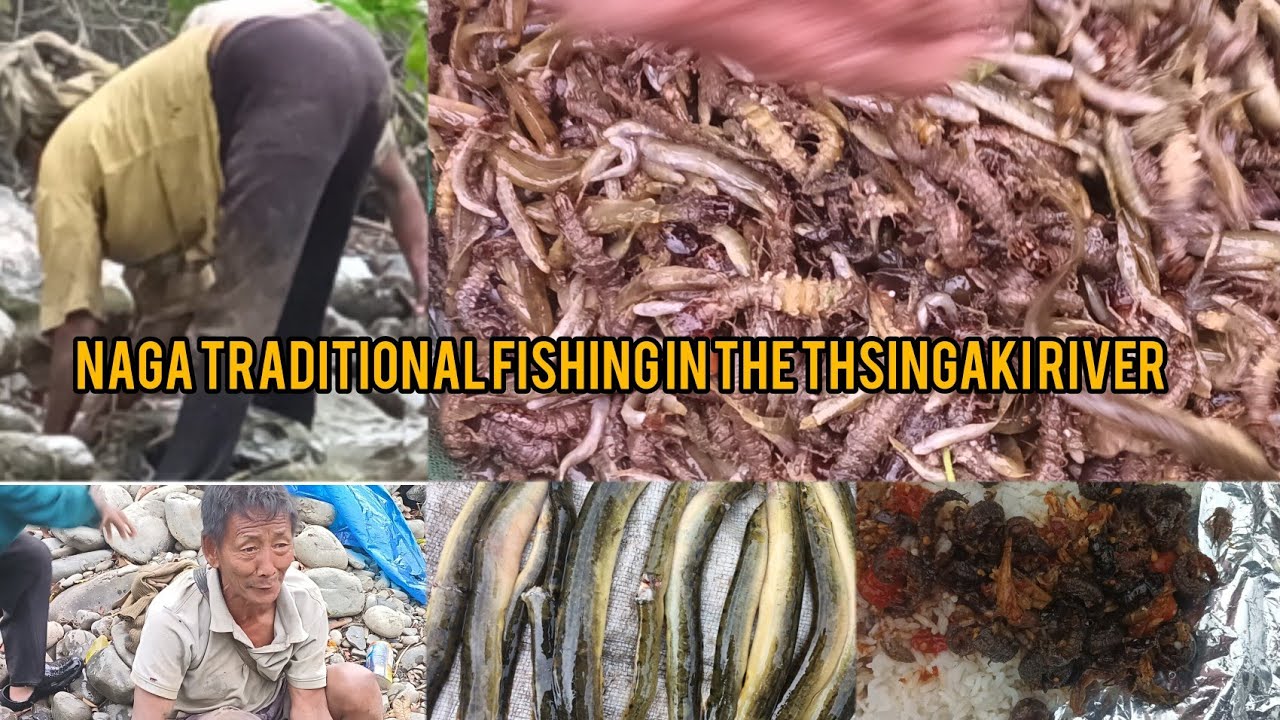 Naga Fish Naga Traditional Fishing in The Thsingaki River🦈🐠🐟 - YouTube