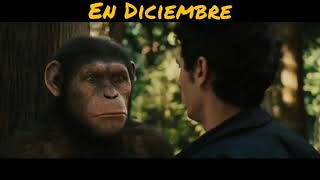 El Meme del Gorila para las fiestas de Diciembre..Muy Cruel 😂😂😂
