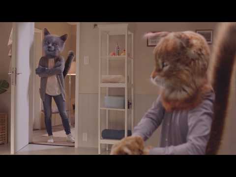 arm-&-hammer-clump-&-seal-cat-litter-2019-tv-commercial-"confidence"