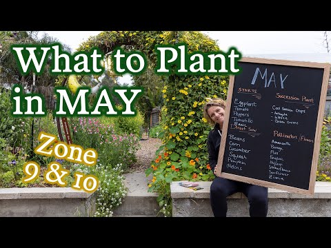 Video: Krönsaksodling för zon 9 - Plantering av en grönsaksträdgård i zon 9