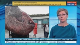 Гигантскую рыбу-луну скормили медведям