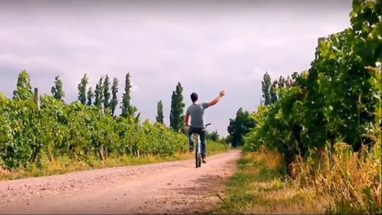 cycling wine tours mendoza