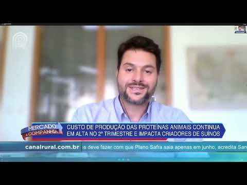 Dificuldades na suinocultura devem seguir pelos próximos meses - Mercado & Cia - 26/04/2022