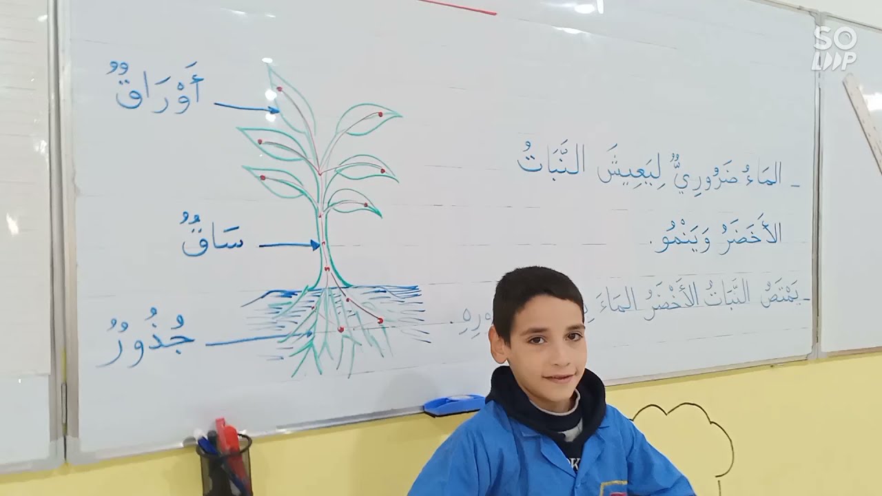 مظاهر نمو النبات، تربية علمية، السنة الثانية ابتدائي