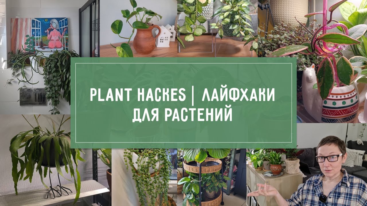 PLANT HACKES! Интересные ЛАЙФХАКИ для растений!