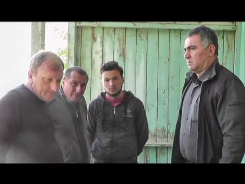 ჩოხატაურში სტიქიამ რამდენიმე საცხოვრებელი სახლი დააზიანა