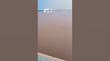 پنجاب کا سیلاب Viralvideo Funny Bhattifunny Bhattifunnyvideo 