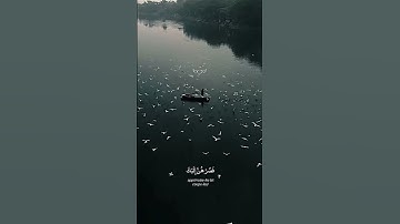 وإذ قال إبراهيم ربي أرني كيف تحيي الموتى :-عبد الله احمد شعبان تلاوة خاشعة قرآن كريم #قرآن #المصحف