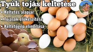 Tyúk tojás keltetése - A keltetés alapjai, tojások előkészítése, a keltetőgép elindítása, (1. rész)