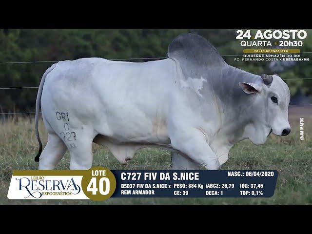 LOTE 40 GRI C727