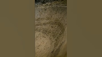 FREEFLY EMBER 600fps