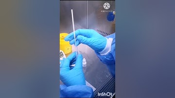 Accu Tell test rápido SARS CoV 2 Antigen Rapid Test Video 1