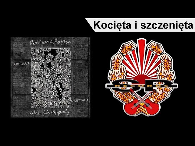 PIDŻAMA PORNO - KOCIĘTA I SZCZENIĘTA