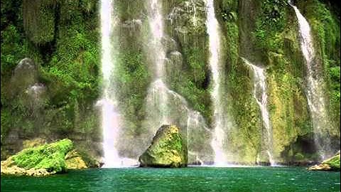 Tiếng hát giữa rừng Pắc Bó -  Nhạc không lời