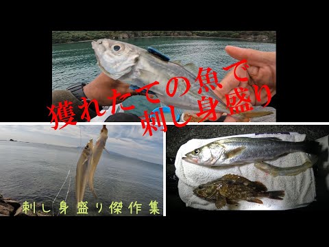 2025: A collection of sashimi masterpieces made with caught fish