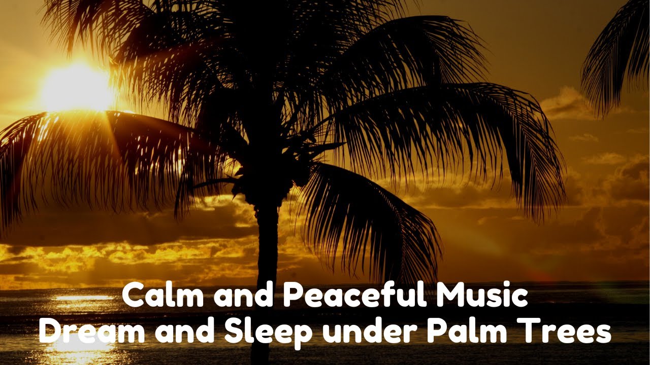 Calm And Peaceful Music Dream And Sleep Under Palm Trees YouTube calm-and-peaceful-music-dream-and-sleep-under-palm-trees-youtube