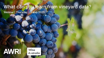 What can you learn from vineyard data?