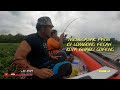 MENGGASAK PATIN LOMBONG PECAH, KOTA BHARU GOPENG| ib fishing vlog| #vlog48