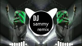 HALGI PRIVATE DJ SAMMY REMIX (UNRELEASED TRACK)